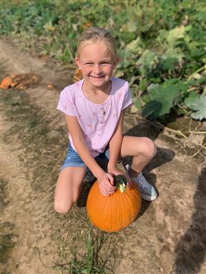 pumpkin patch