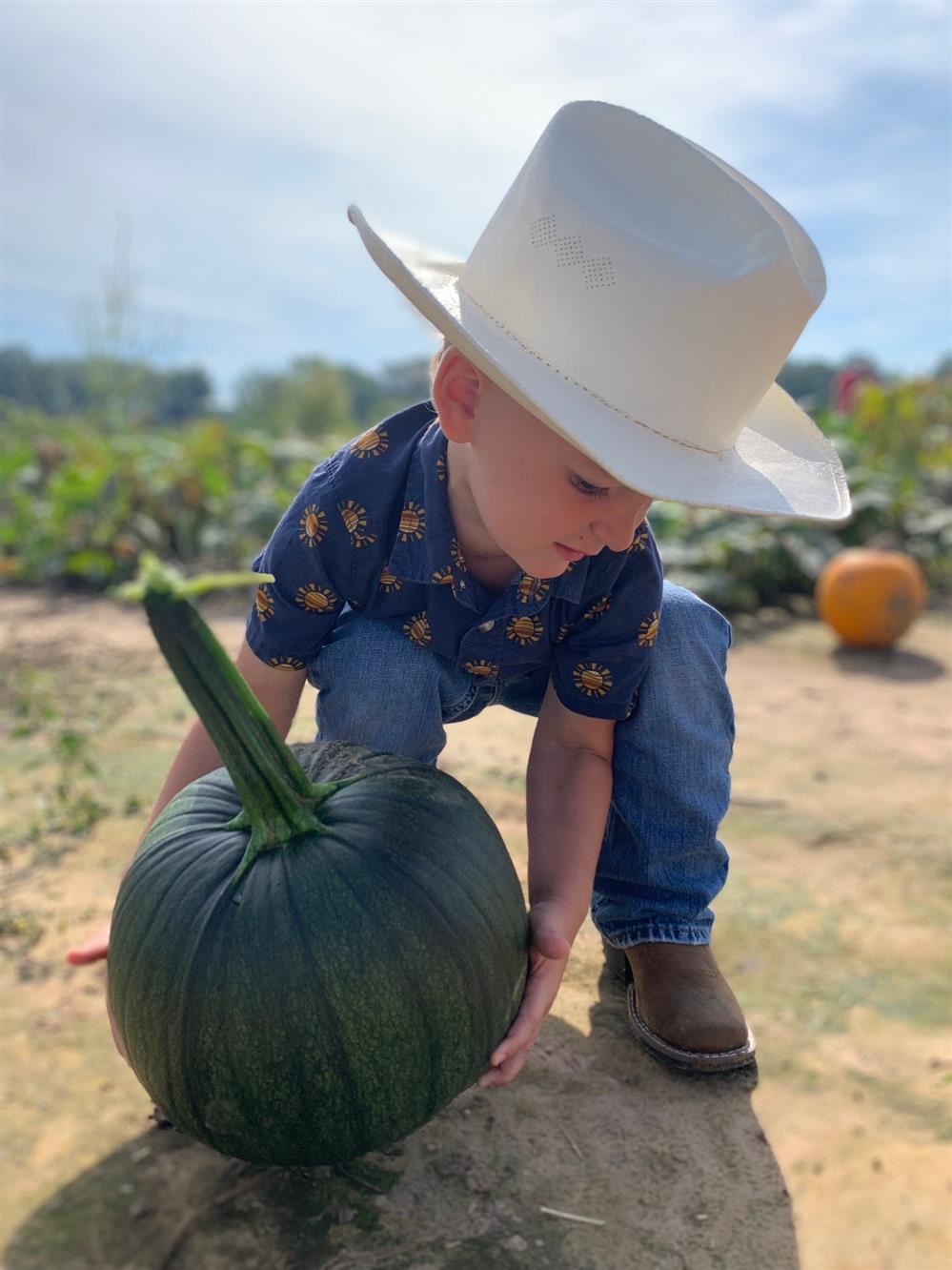  pumpkin patch